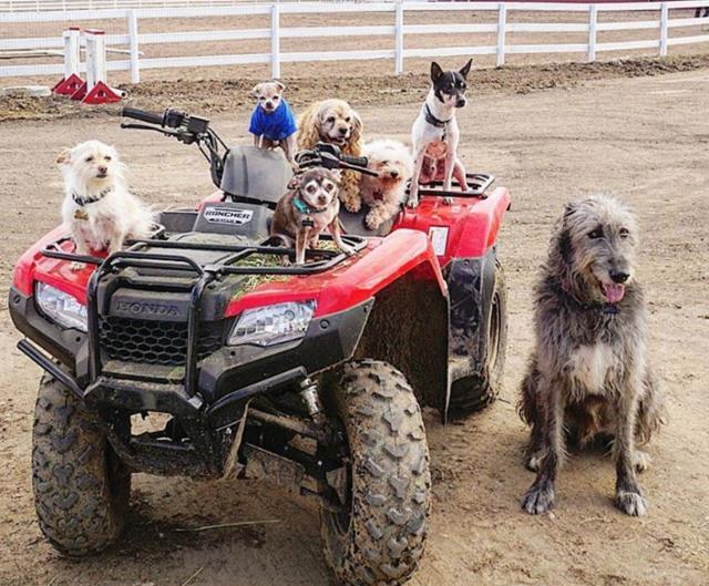 Ready for a Ride